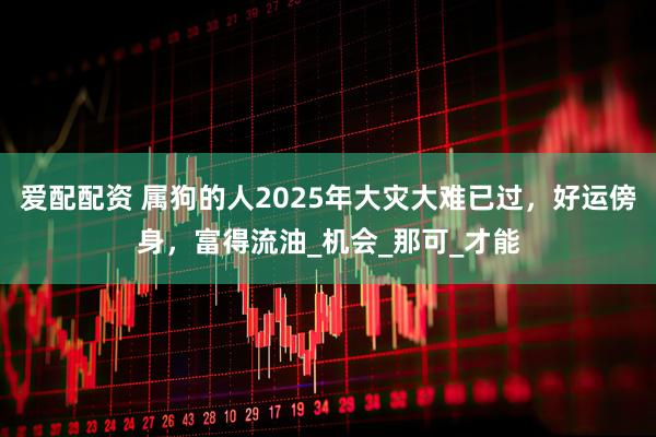 爱配配资 属狗的人2025年大灾大难已过，好运傍身，富得流油_机会_那可_才能