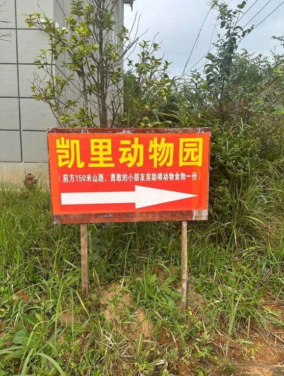 沪深优配 凯里动物园藏深山出圈：长期亏损，为何动物们却长得“白白胖胖”